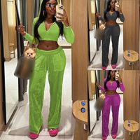 Daily Women's Streetwear Solid Color Polyester Pants Sets Pants Sets main image 1