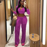 Daily Women's Streetwear Solid Color Polyester Pants Sets Pants Sets sku image 2