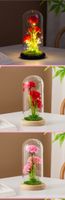 Simple Style Classic Style Flower Plastic Flowers Preserved Flower Ornaments main image 2