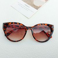 Ig Style Streetwear Solid Color Pc Resin Cat Eye Full Frame Women's Sunglasses sku image 3
