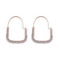 1 Pair Simple Style Geometric Inlay Alloy Resin Hoop Earrings main image 5