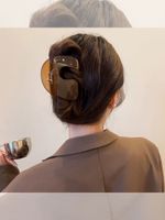 Women's Ig Style Geometric Plastic Stoving Varnish Hair Claws main image 3