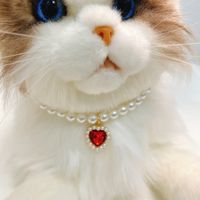 Sweet Bright Pearl Heart Shape Pet Collar main image 2