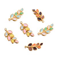 5 Pcs/package Simple Style Leaves Stainless Steel Enamel Plating Jewelry Accessories main image 4