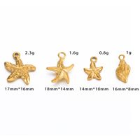 A Pack Of 6 Casual Beach Starfish Conch Stainless Steel Plating Jewelry Accessories main image 2