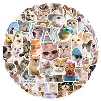 1 Set Cat Graduation Pvc Simple Style Stickers main image 3
