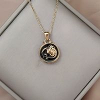 Retro Constellation Stainless Steel Titanium Steel Plating Women's Pendant Necklace sku image 21