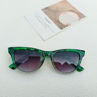 Casual Geometric Pc Resin Cat Eye Full Frame Women's Sunglasses sku image 3