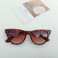 Casual Geometric Pc Resin Cat Eye Full Frame Women's Sunglasses sku image 4