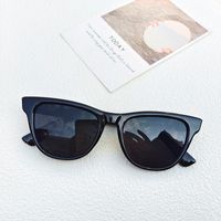 Casual Geometric Pc Resin Cat Eye Full Frame Women's Sunglasses sku image 7