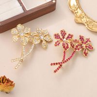 Elegant Flower Alloy Inlay Rhinestones Women's Brooches main image 1