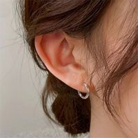 1 Piece Basic Simple Style Round Plating Pure Titanium Earrings main image 5