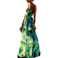 Women's Regular Dress Elegant Strapless Printing Zipper Sleeveless Color Block Maxi Long Dress Holiday Travel Street main image 4