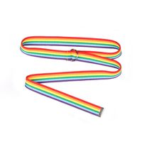 IG Style Rainbow Ribbon Iron Women's Woven Belts main image 3