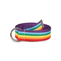 IG Style Rainbow Ribbon Iron Women's Woven Belts sku image 4