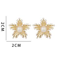 1 Pair Ig Style Star Plating Copper Ear Studs sku image 1