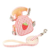Simple Style Classic Style Polyester Color Block Leash main image 4