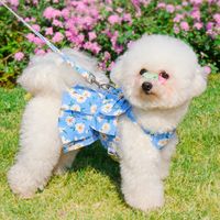 Simple Style Polyester Color Block Pet Clothing main image 1