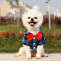 Casual Polyester Plaid Bow Knot Pet Toys main image 2