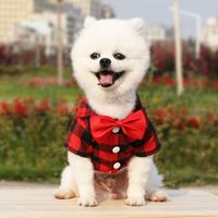 Casual Polyester Plaid Bow Knot Pet Toys main image 5