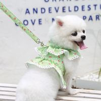 Cute Polyester Ditsy Floral Leash main image 3
