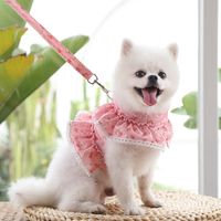 Cute Polyester Ditsy Floral Leash main image 5