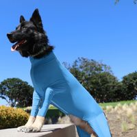Casual Polyester Solid Color Pet Clothing main image 4