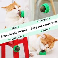 Simple Style Classic Style Pp Color Block Pet Toys main image 5