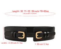 Vacation Modern Style Classic Style Solid Color Pu Leather Alloy Buckle Women's Leather Belts main image 2