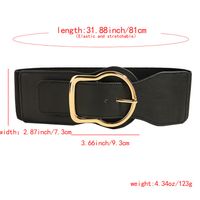 Business Simple Style Geometric Pu Leather Alloy Women's Leather Belts main image 2