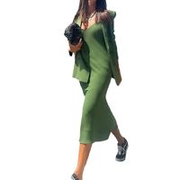Daily Women's Elegant Solid Color Polyester Skirt Sets Skirt Sets main image 4