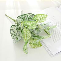 Simple Style Classic Style Solid Color Plastic Imitation Plants Artificial Flowers sku image 10