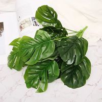 Simple Style Classic Style Solid Color Plastic Imitation Plants Artificial Flowers sku image 31