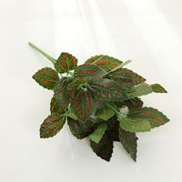 Einfacher Stil Klassischer Stil Einfarbig Kunststoff Nachgemachte Pflanzen Künstliche Blumen sku image 13