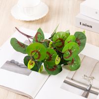 Simple Style Classic Style Solid Color Plastic Imitation Plants Artificial Flowers sku image 17