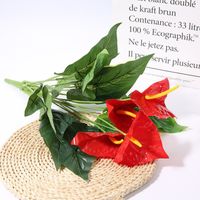 Einfacher Stil Klassischer Stil Einfarbig Kunststoff Nachgemachte Pflanzen Künstliche Blumen sku image 32