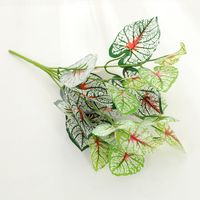 Einfacher Stil Klassischer Stil Einfarbig Kunststoff Nachgemachte Pflanzen Künstliche Blumen sku image 11