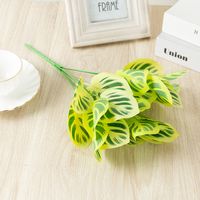 Simple Style Classic Style Solid Color Plastic Imitation Plants Artificial Flowers sku image 19