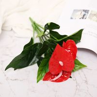 Simple Style Classic Style Solid Color Plastic Imitation Plants Artificial Flowers sku image 29