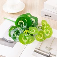Simple Style Classic Style Solid Color Plastic Imitation Plants Artificial Flowers sku image 16