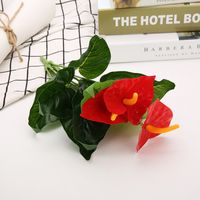 Simple Style Classic Style Solid Color Plastic Imitation Plants Artificial Flowers sku image 30