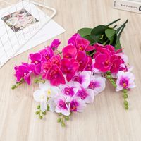Simple Style Classic Style Flower Plastic Imitation Plants Artificial Flowers main image 1