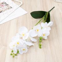Simple Style Classic Style Flower Plastic Imitation Plants Artificial Flowers sku image 3