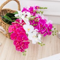 Simple Style Classic Style Flower Plastic Imitation Plants Artificial Flowers main image 3