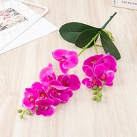 Simple Style Classic Style Flower Plastic Imitation Plants Artificial Flowers sku image 1