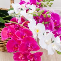 Simple Style Classic Style Flower Plastic Imitation Plants Artificial Flowers main image 2