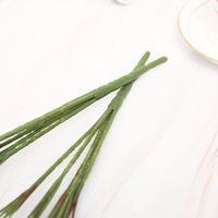 Simple Style Classic Style Color Block Raw Silk Imitation Plants Artificial Flowers main image 5