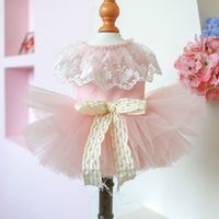 Sweet Polyester Bow Knot Pet Clothing main image 1