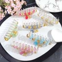 Women's Simple Style Color Block Plastic Stoving Varnish Hair Claws main image 4