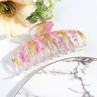 Women's Simple Style Color Block Plastic Stoving Varnish Hair Claws sku image 6